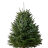 Ёлка Датская Премиум