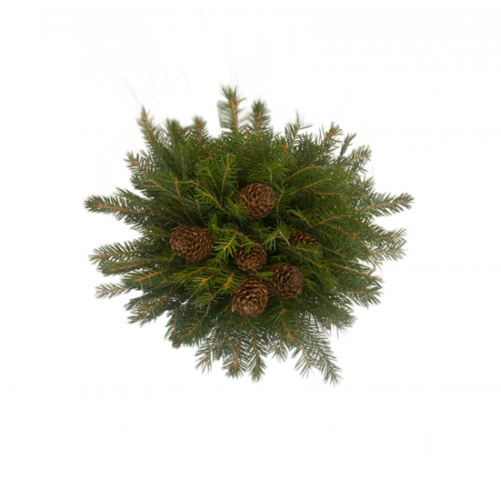 Букет еловый с шишками