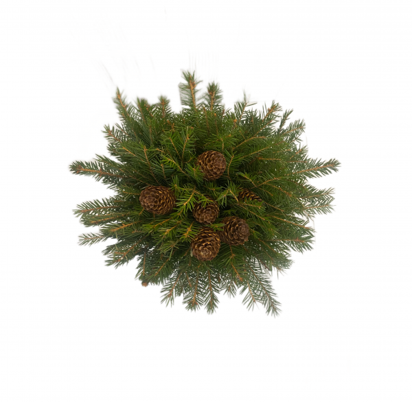 Букет еловый с шишками