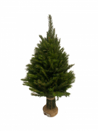 Ёлочка из елового лапника