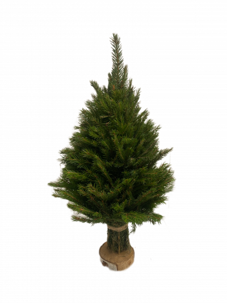 Ёлочка из елового лапника