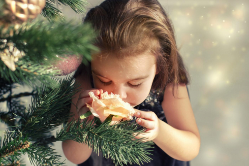 Аромат елки - атмосфера праздника в каждый дом!