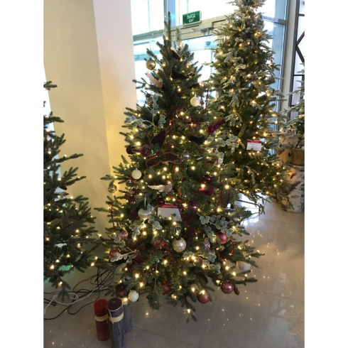 Как правильно установить срезанную елку в доме?