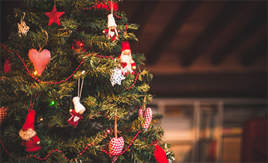 Как выбрать елку под посадку